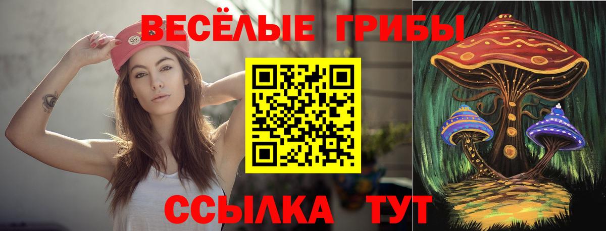 Верхний Уфалей  Псилоцибиновые грибы Psilocybe  Вход с VPN 